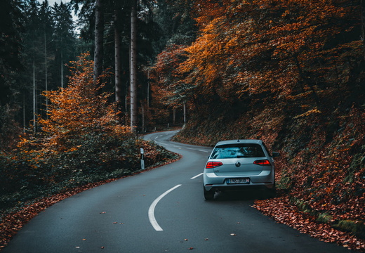 Travel