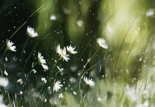 Seasons